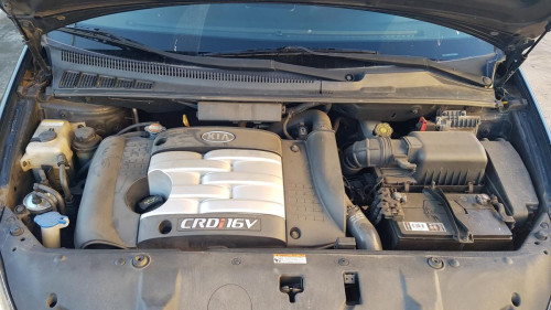  Kia Carnival (2007->) SIN IDENTIFICAR 