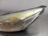  FARO IZQUIERDO FORD FOCUS BERLINA (CEW) 