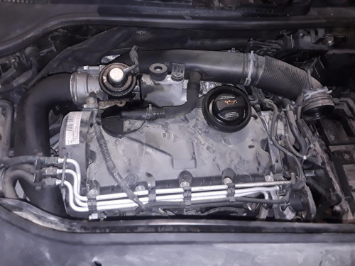  VOLKSWAGEN GOLF V (1K1)(10.2003) 