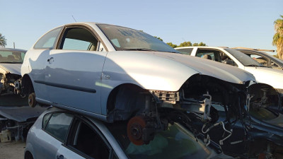 SEAT IBIZA (6L1)
