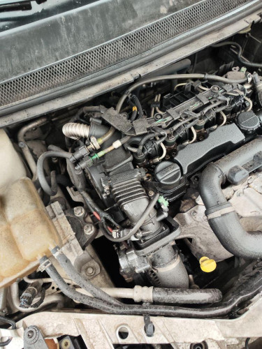 MOTOR COMPLETO FORD FOCUS BERLINA (CAP) 