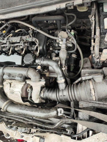 MOTOR COMPLETO FORD FOCUS BERLINA (CAP) 