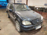MERCEDES-BENZ CLASE ML (BM 163)
