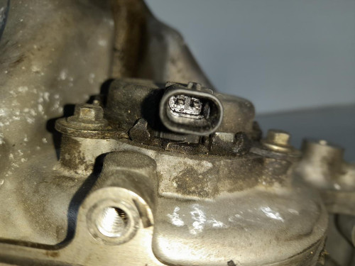 TAPA DISTRIBUCION Ford C-MAX (CB7) 