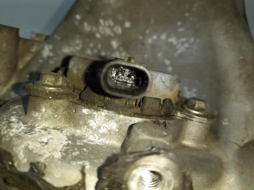 TAPA DISTRIBUCION Ford C-MAX (CB7) 