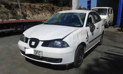 SEAT IBIZA (6L1)
