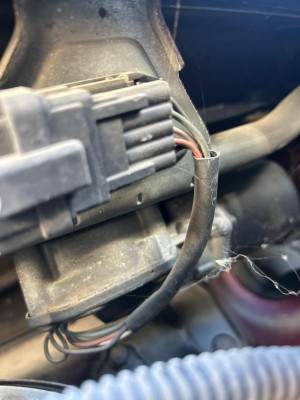 MOTOR LIMPIA DELANTERO