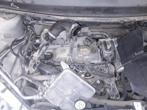  FORD FOCUS BERLINA (CAP) 