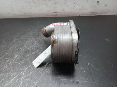ENFRIADOR EGR, FIAT, DUCATO 3 MAXI FURGÓN 35 (295)