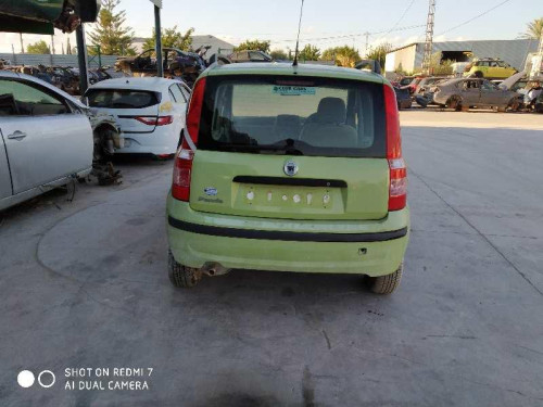  FIAT II PANDA (169) 