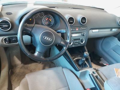 AUDI A3 (8P1)