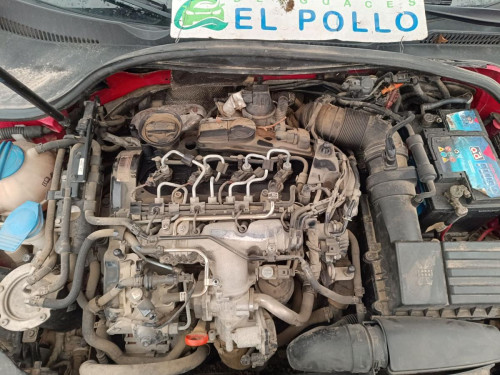  VOLKSWAGEN GOLF VI (5K1)(10.2008) 