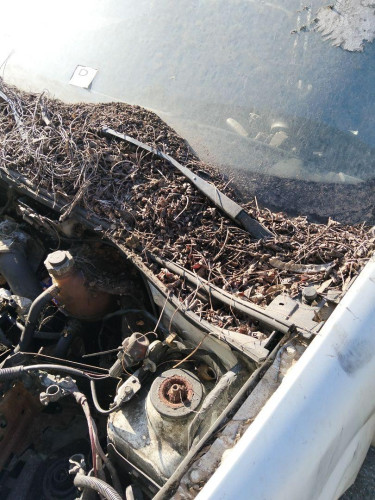 BRAZO LIMPIA DELANTERO IZQUIERDO RENAULT KANGOO I (F/KC0) 