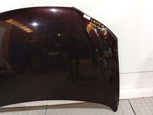  CAPO HYUNDAI SANTA FE (CM) 