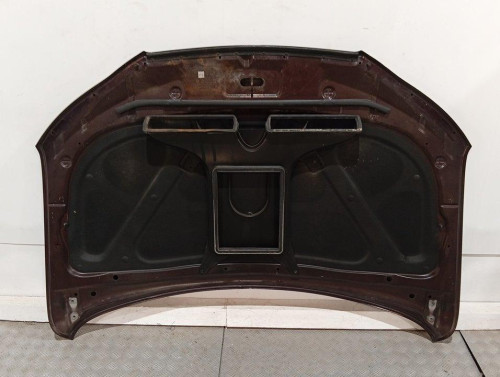  CAPO HYUNDAI SANTA FE (CM) 