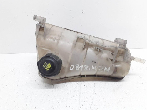 DEPOSITO EXPANSION RENAULT KANGOO II (F/KW0) 