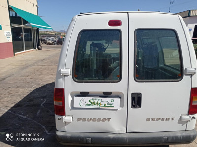 PORTON TRASERO IZQUIERDO Peugeot Expert Combi (1995->2007)