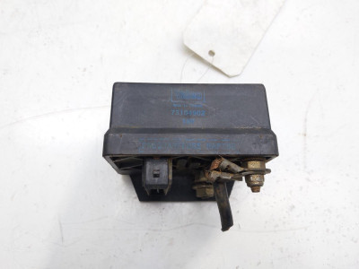 CAJA PRECALENTAMIENTO, RENAULT, RAPID /EXPRESS (F40)