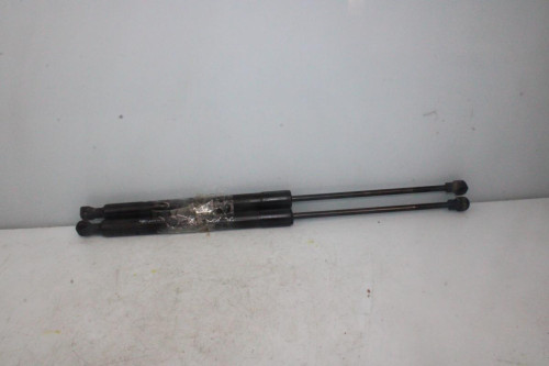 AMORTIGUADORES MALETERO / PORTON RENAULT CAPTUR I 