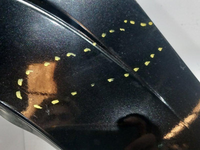 ALETA DELANTERA IZQUIERDA, SSANGYONG, RODIUS