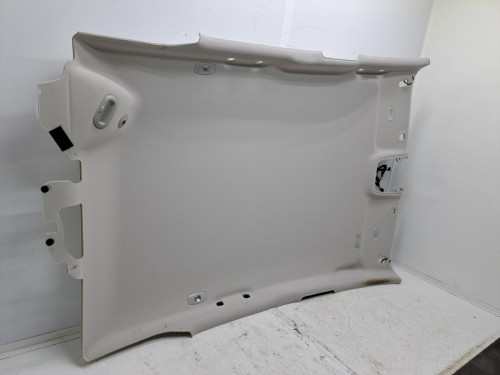 TECHO INTERIOR RENAULT SCENIC IV 