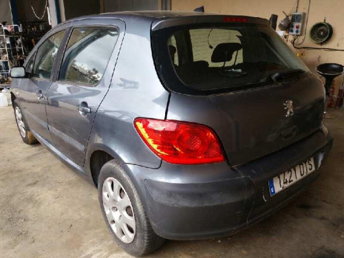  PEUGEOT 307 BERLINA (S2) 