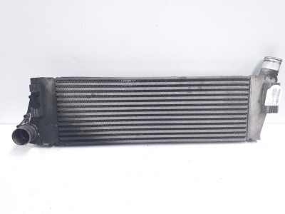 INTERCOOLER, RENAULT, SCENIC II (JM)
