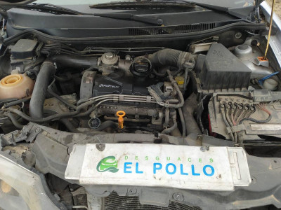 SEAT IBIZA (6L1)