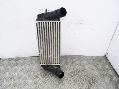 INTERCOOLER, FORD, FIESTA (CNN)