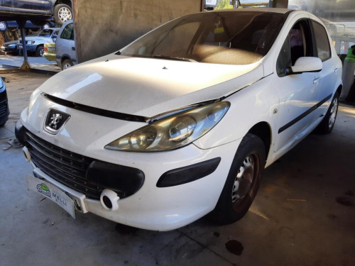  PEUGEOT 307 BERLINA (S2) 