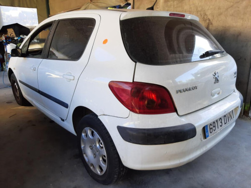  PEUGEOT 307 BERLINA (S2) 