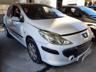 PEUGEOT 307 BERLINA (S2)