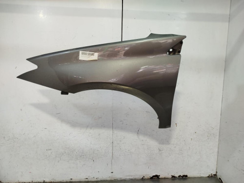 ALETA DELANTERA IZQUIERDA RENAULT LAGUNA III BERLINA 