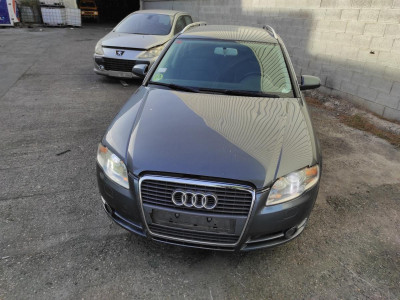 AUDI A4 AVANT (8E)