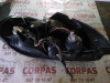 PILOTO TRASERO DERECHO Kia SEPHIA II 