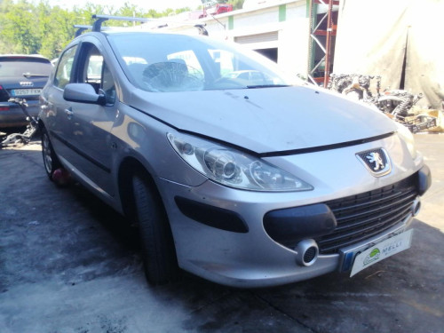  PEUGEOT 307 BERLINA (S2) 