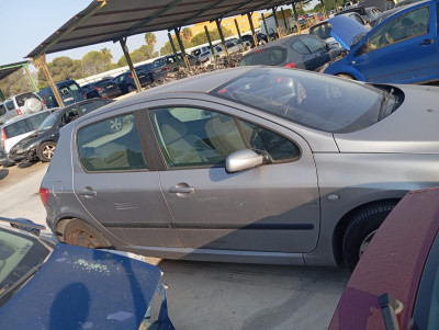 PEUGEOT 307 (S1)(04.2001)