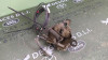 CERRADURA CAPO Toyota LAND CRUISER (J15) 