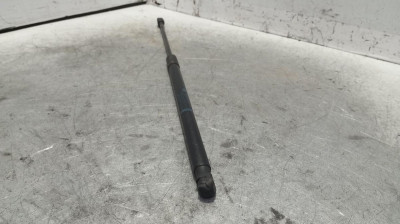 AMORTIGUADORES MALETERO / PORTON, PEUGEOT, 5008