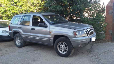 JEEP GRAND CHEROKEE (WJ/WG)