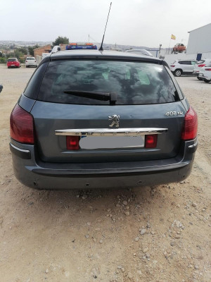 PEUGEOT 407 SW