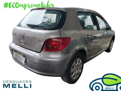 PEUGEOT 307 (S1)(04.2001)