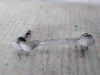 BRAZO SUSPENSION INFERIOR DELANTERO IZQUIERDO BMW SERIE 3 TOURING (E91) 