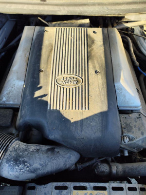 TAPA MOTOR