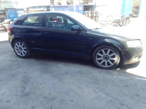  AUDI A3 (8P1) 