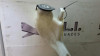 DEPOSITO LIMPIA MINI MINI (R56) 