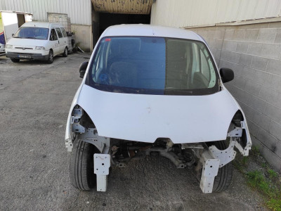 RENAULT KANGOO II (F/KW0)