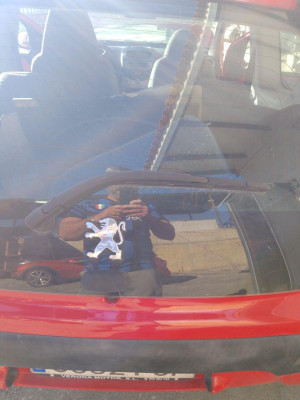 BRAZO LIMPIA TRASERO