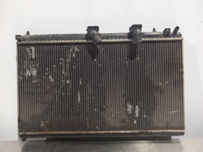 RADIADOR AGUA, LANCIA, PHEDRA (180)