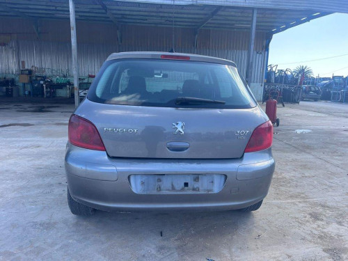  PEUGEOT 307 BERLINA (S2) 